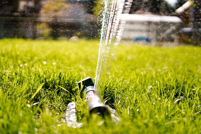 sprinkler system on grass